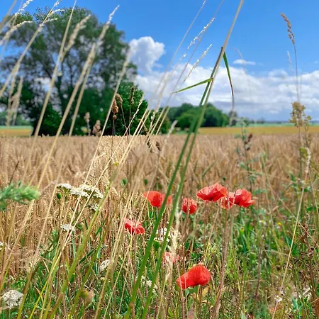 Meeresbrise Gollwitz