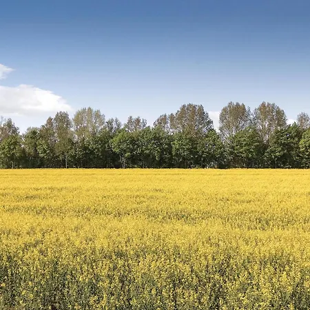 Meeresbrise Apartmán Gollwitz